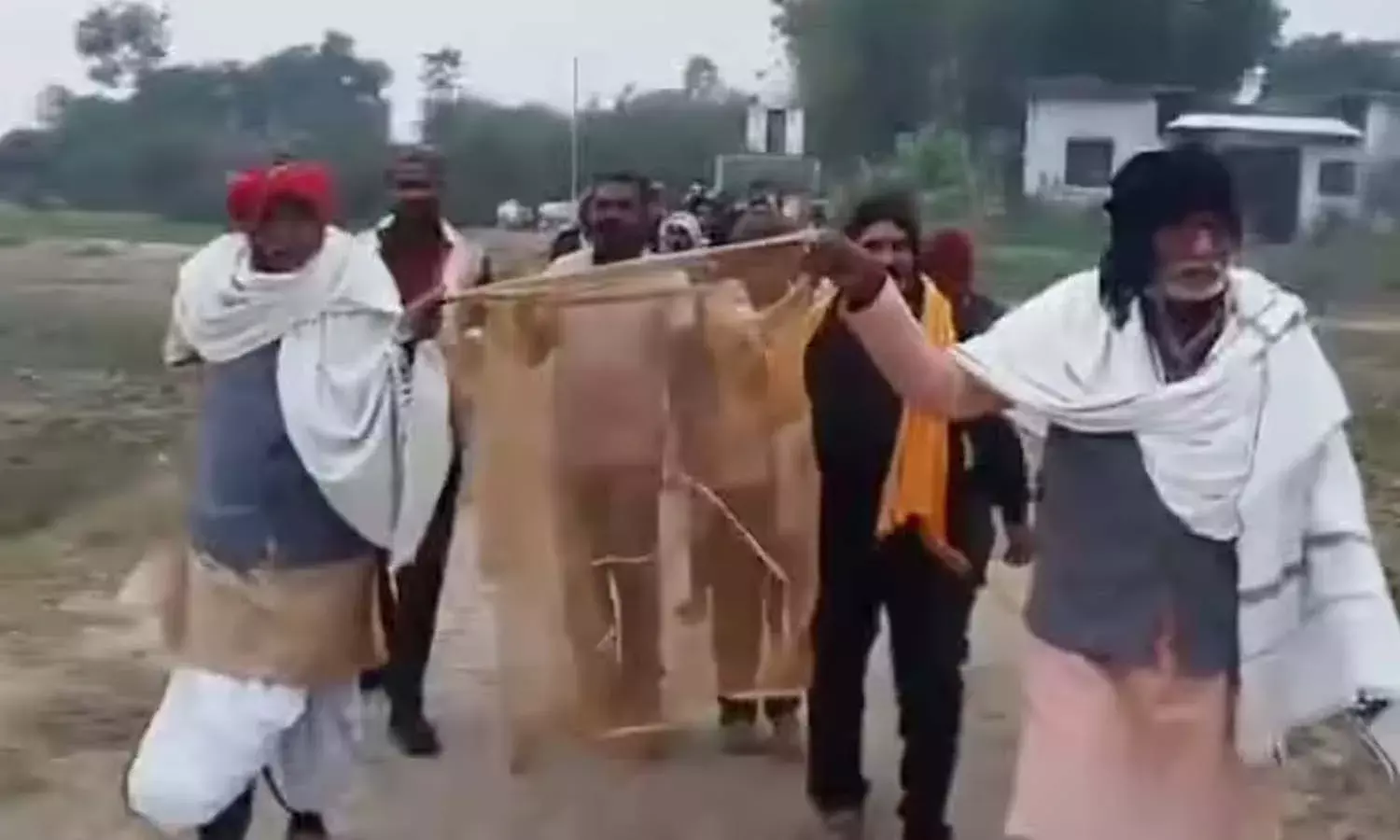 BJP leader, leopard, mosquito net, viral