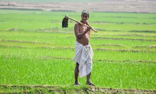 Telangana, Rythu Bharosa , cultivated land
