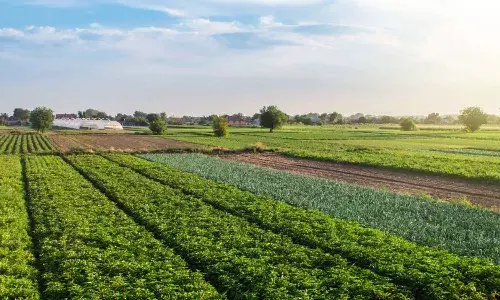 Telangana government, farmers, Raythu bharosa