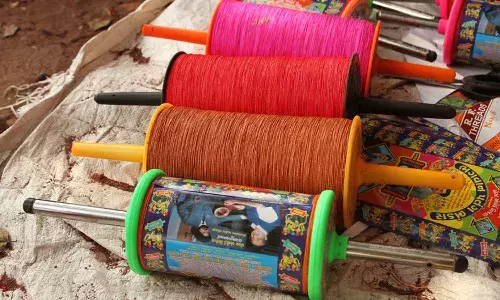 Manja ban, High Court, Telangana Govt, kites