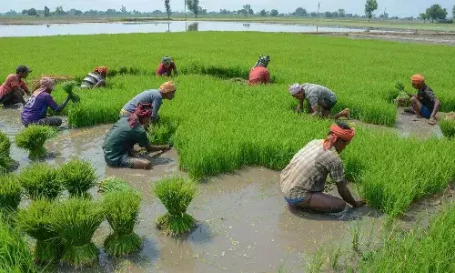 Telangana government, Rythu Bharosa scheme, Telangana