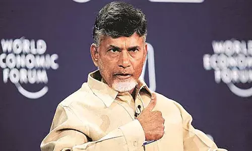 ఢిల్లీకి ఏపీ సీఎం చంద్రబాబు
