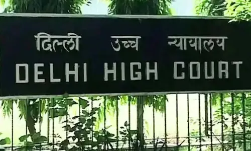 Delhi High Court, pre-arrest bail, woman accused, assaulting husband