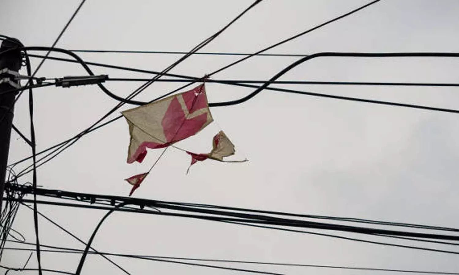 Boy electrocuted, kite, live electric wire, Hyderabad