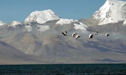 India, China, Kailash Mansarovar Yatra, direct flights