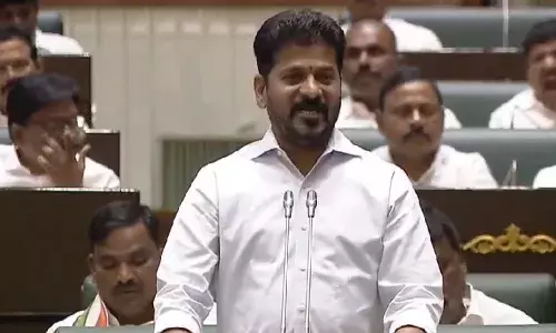 రూ.160 కోట్లు ఖర్చుచేసి.. ప్రతీ గ్రామంలో, తండాలో పకడ్బందీగా వివరాలు సేకరించాం