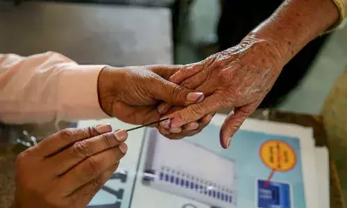 Drunk Delhi man, finger was inked, voting, police, Delhi polls
