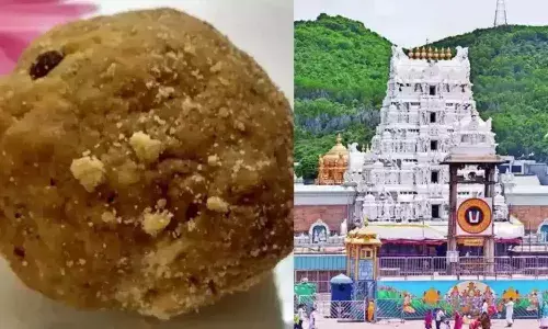 CBI, arrest, Tirupati laddu adulteration case, TTD, APNews