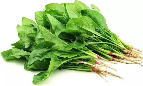 Health Benefits, eating, Palakura, women, Lifestyle