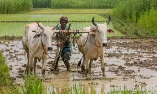 Government schemes, farmers, Farmer Registry, Unique ID