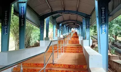 TTD, Tirumala, Alipiri route, cheetah