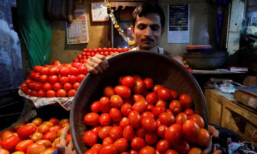 AP government, procurement, tomatoes, APnews