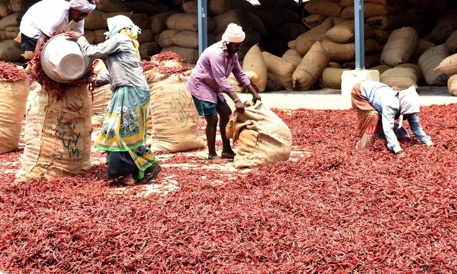 Minister Lokesh , Central Govt, minimum support price, pepper farmers