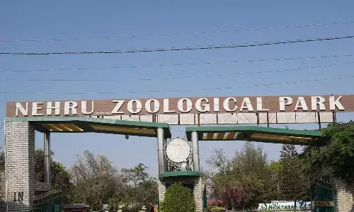 Hyderabad, Nehru Zoological Park, Entry Fee