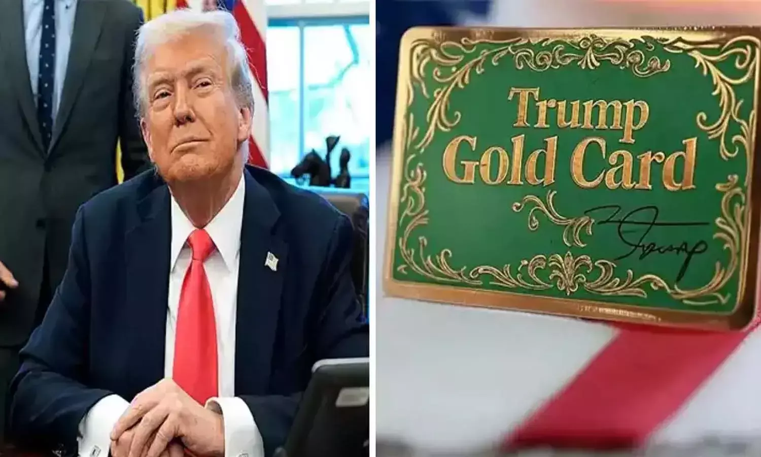 International News, America, Donald Trump, Gold Card, Citizenship Plan, Indian Graduates