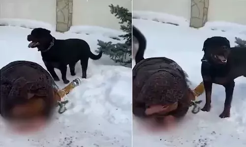 Mother protects child, brutal Rottweiler attack, blood stains, snow, Russia, Yekaterinburg