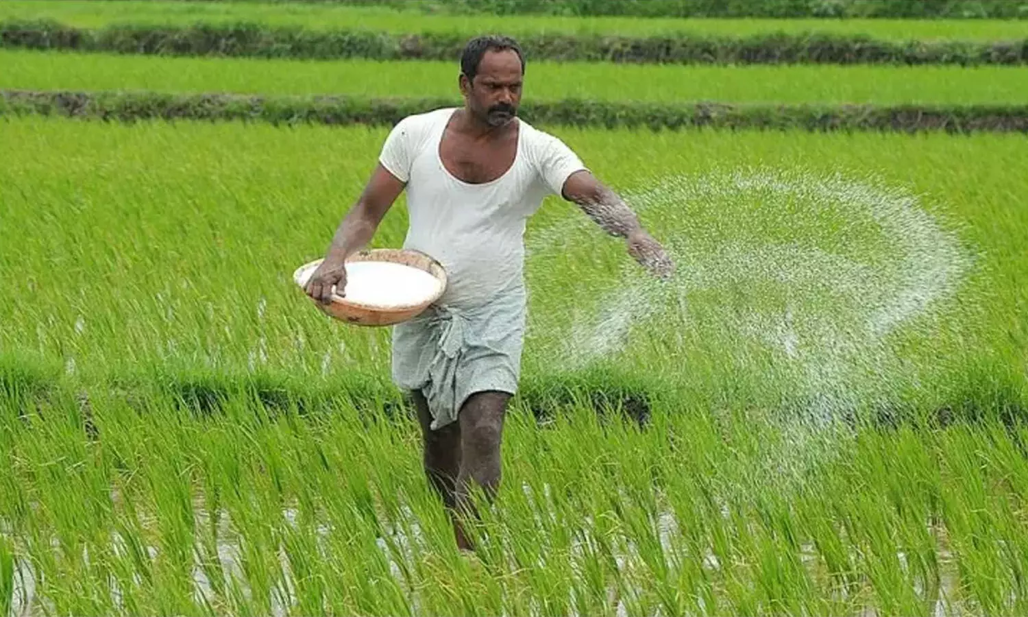 Deputy CM Bhatti Vikramarka, farmer, Rythu Bharosa , Telangana