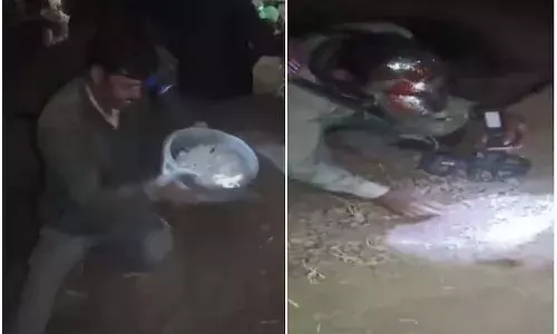 National News, Chhaava Movie, Madhyapradesh, Burhanpur, Gold Viral Video