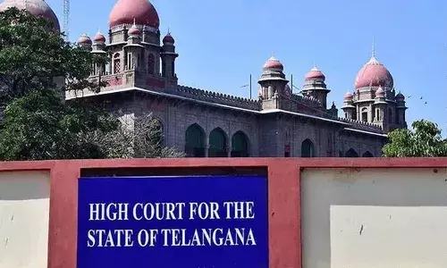 Telangana High Court, Judgement, Petitioner, Penalty