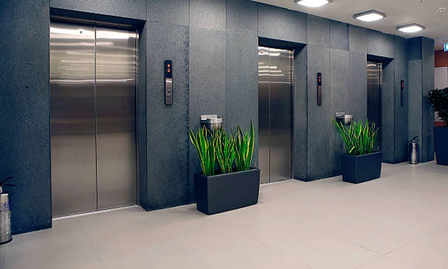 precautions, elevator accidents, lift accident