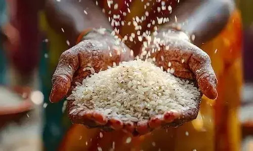 Telangana govt, free fine rice distribution scheme, Ugadi, Telangana