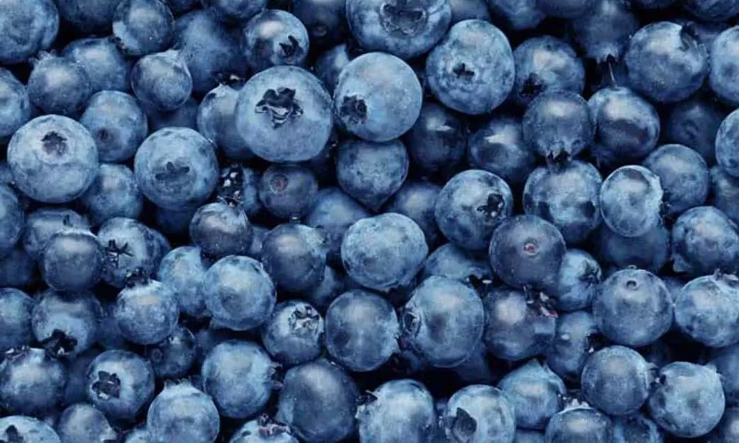 health benefits, eating , blueberries
