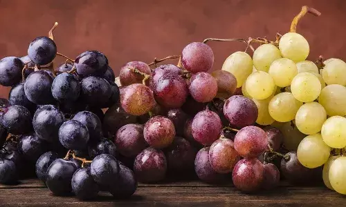 nutrients, grapes, Life style,