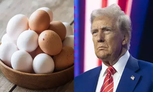 అమెరికాలో మండిపోతున్న గుడ్ల ధరలు