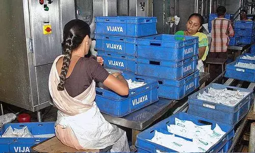 Vijaya milk, Sangam milk, prices increase, APnews
