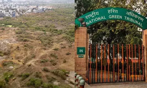 Lawyer Karupothula Revanth, petition, NGT, Kancha Gachibowli, land auction