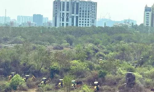 చెట్లను కూల్చేస్తారా.? : కేంద్ర మంత్రి హెచ్చరికలు