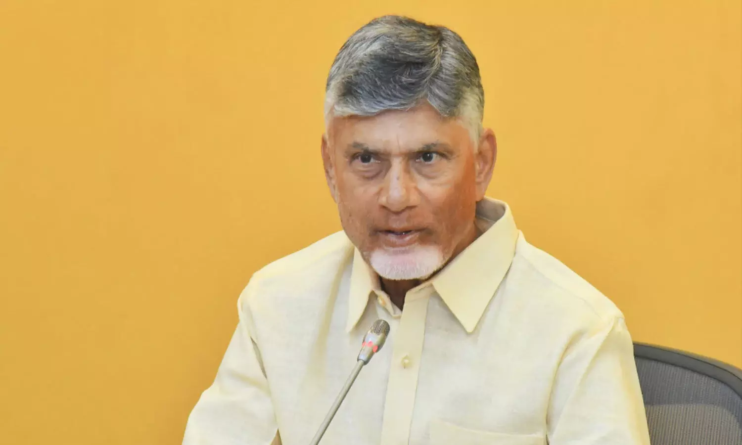 బర్డ్ ఫ్లూపై ఆందోళన అవసరం లేదు