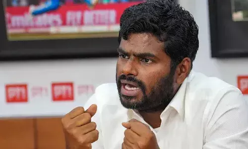 Annamalai, Tamil Nadu, BJP chief race