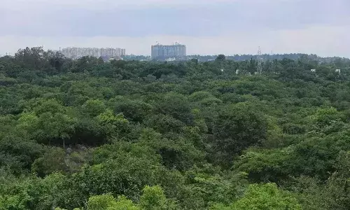 Kancha Gachibowli land dispute, HCU, campus relocation, Hyderabad