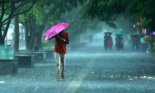 Thunderstorms, Andhra Pradesh, APSDMA, Rain Alert