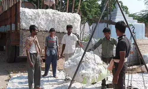 Telangana, cotton procurement, Central Govt
