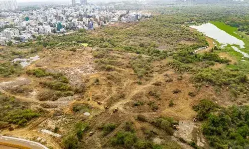 Telangana, Hyderabad News, HCU Land Issue, Central Empowered Committee
