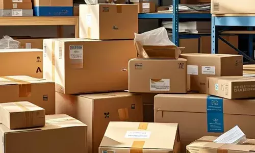 Bengal, cash-on-delivery parcels, ex lover, revenge