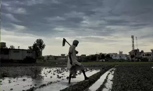 National News, India Meteorological Department, Rains, Farmers