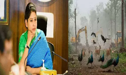 Telangana, Hyderabad, Smita Sabharwal, Telangana Police, Kancha Gachibowli Lands