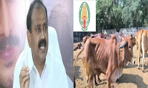 Andrapradesh, Tirumala, TTD Goshala, Bhumana Karunakar reddy, Tirupati Police, Allegations