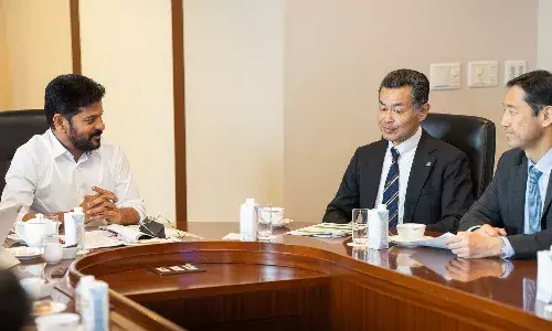 Telangana government, Japanese company, TTDI, electricity sector