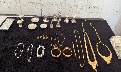 ఓ వైపు ఆటో రిక్షా డ్రైవర్.. మరోవైపేమో...!