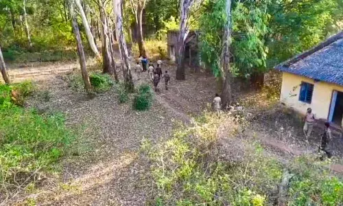 Andrapradesh, Tirupati District, Ap Police, Drone Search,