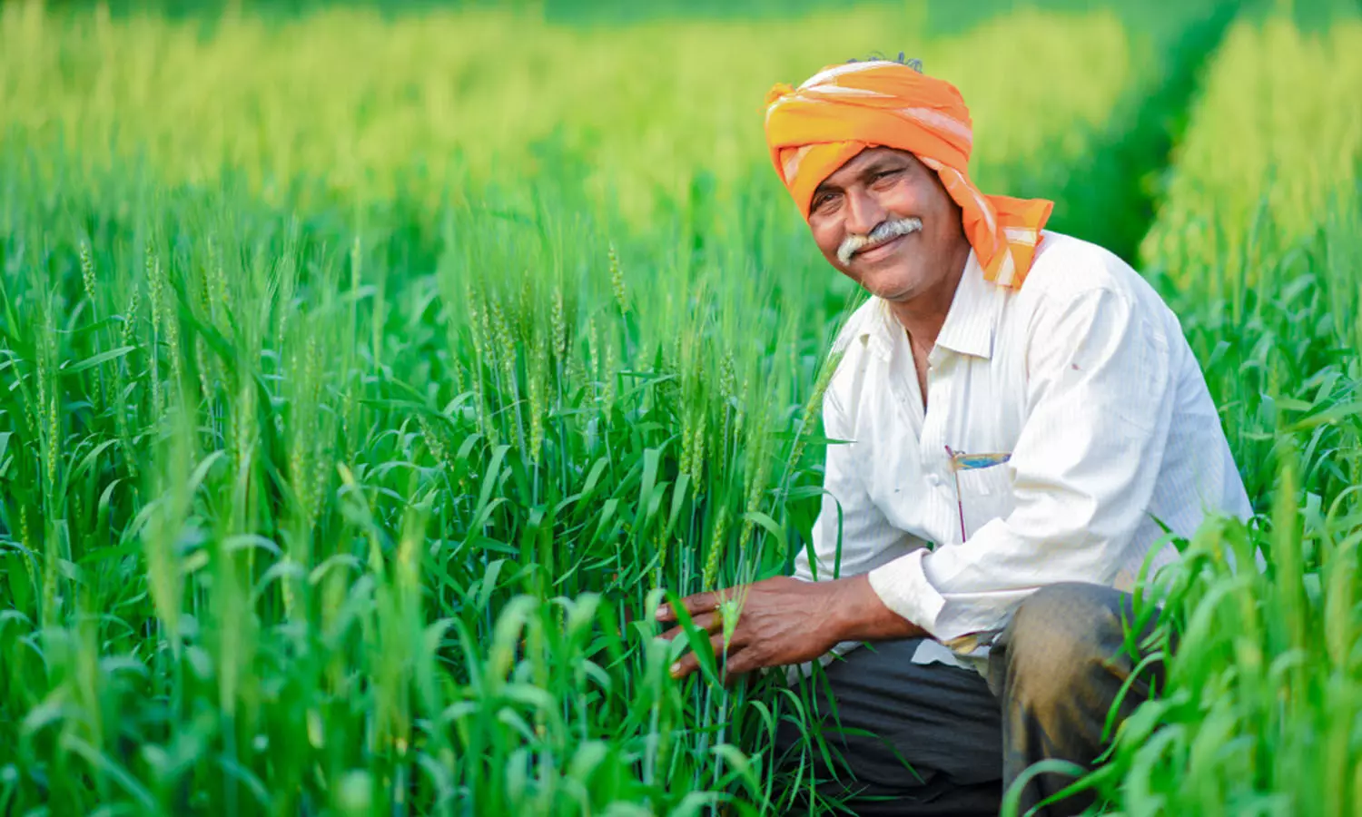 AP government, Annadatha Sukhibhav scheme, tenant farmers, APnews