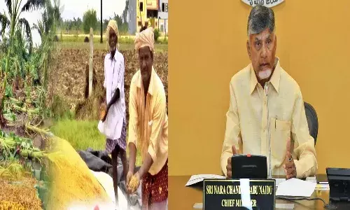 Andrapradesh, CM Chandrababu, Compensation to farmers, Rains