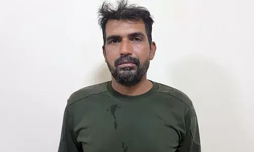 Health benefits, mangoes, summer, Life style