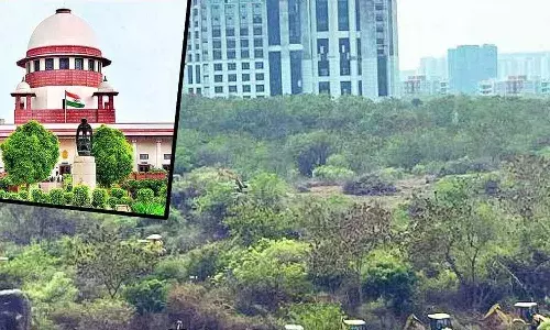 Telangana, Hyderabad News, Kancha Gachibowli Land Issue, Supreme Court