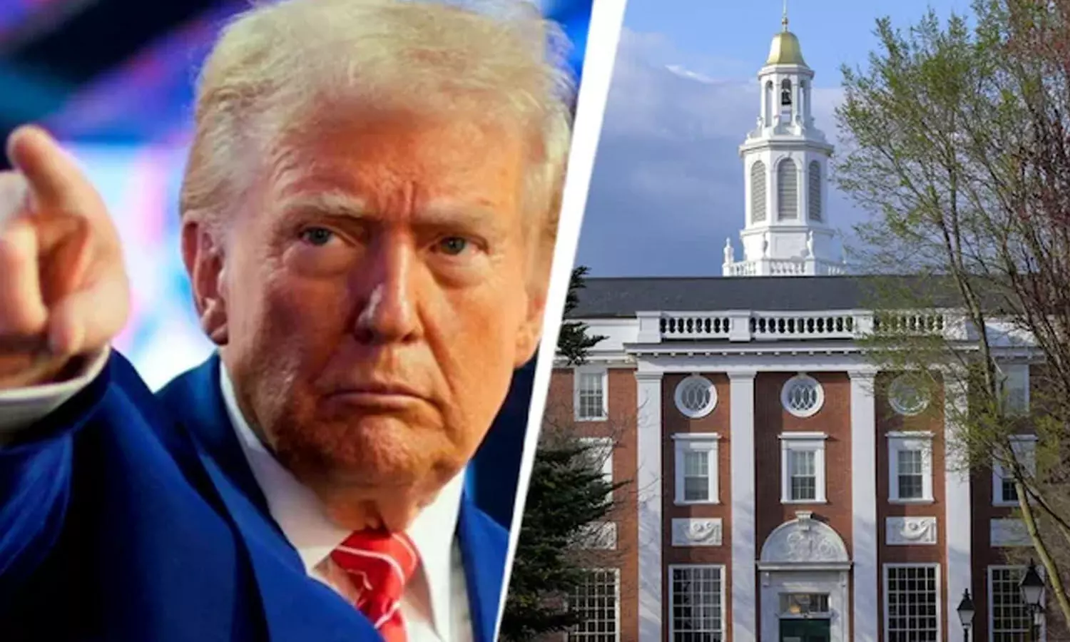 Trump, Harvard University, enroll, international students, USA Trump, Harvard University, enroll, international students, USA