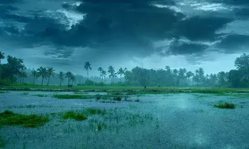 APSDMA, southwest monsoon, AndhraPradesh, Telangana